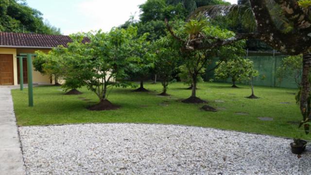 Encantadora Chacara Com Piscina Em Itanhaém Eksteriør billede